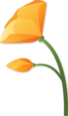 Liberman logo flower
